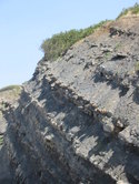 One of the Joggins Fossil Cliffs