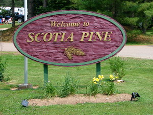 Scotia Pine Campground Sign