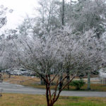 cold in the campground