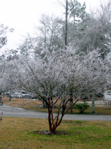 cold in the campground